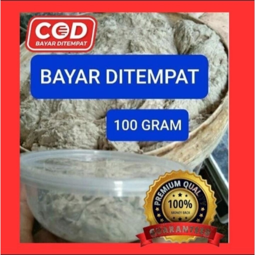 umpan kucur ikan baung sungai paling ampuh asli super jitu baung umpan kucur rian fernandes  murah