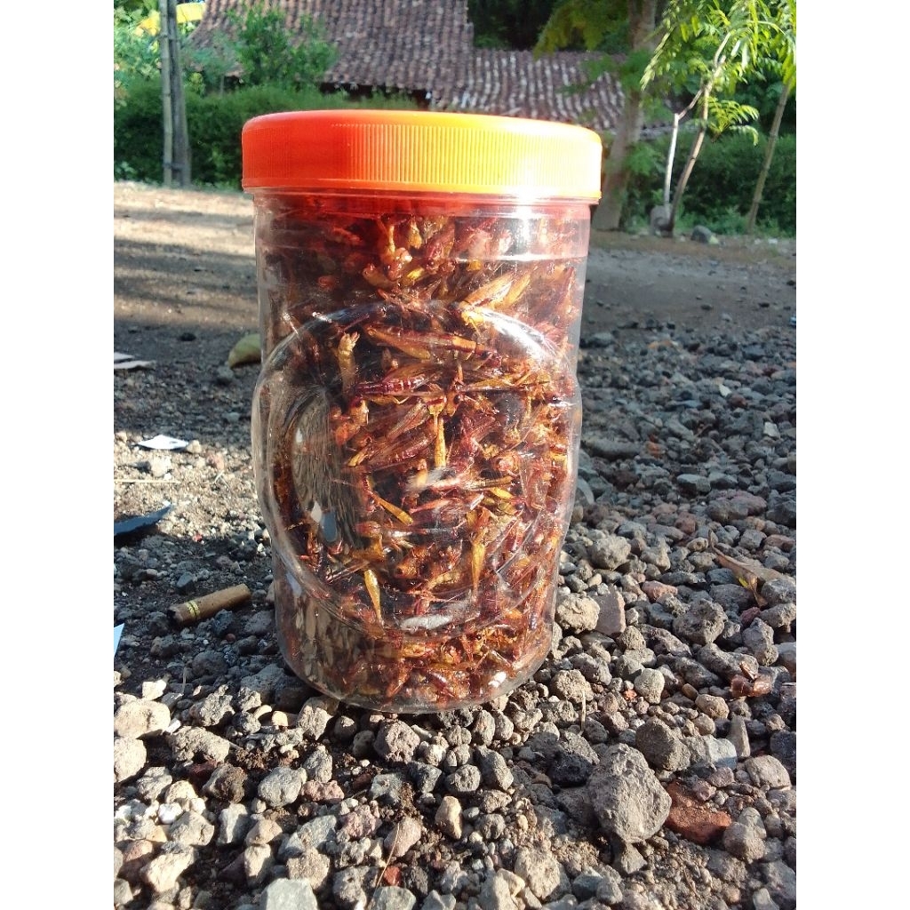 

BELALANG GORENG PADI/UTES KEMASAN toples berat-+250 grm MURAH