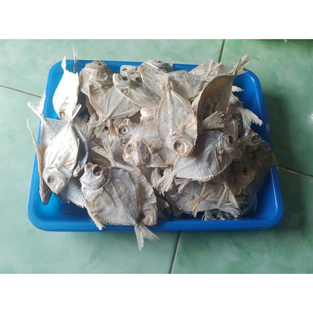 

Gereh petek/gereh kempar /ikan petek asin 1 kg