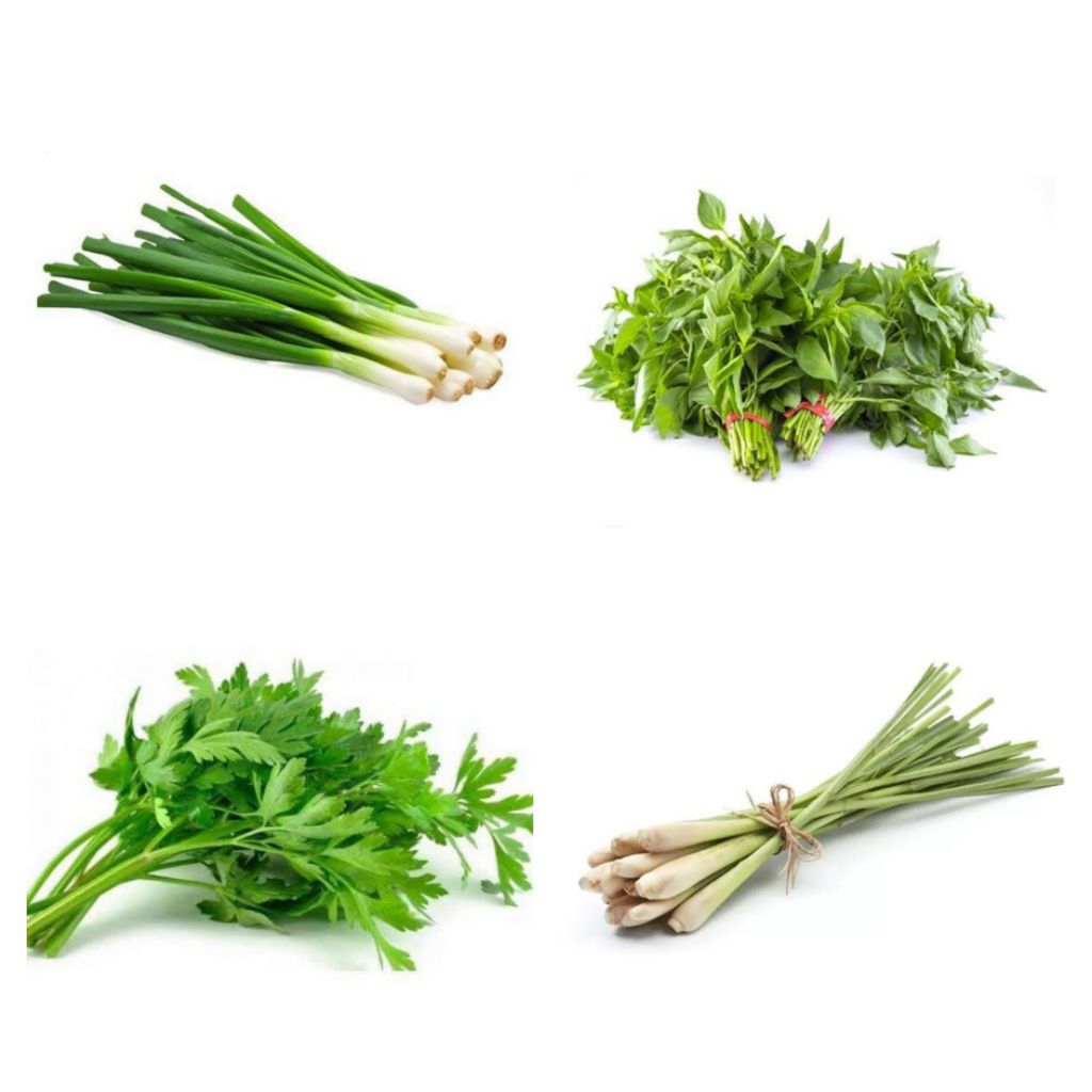 

Daun Bawang, Seledri, Serai dan Kemangi 1 Pack