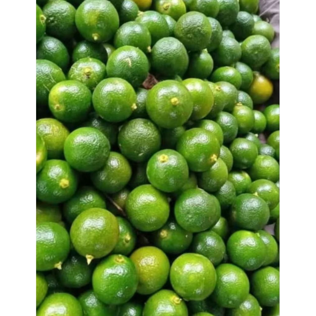 

4 kg jeruk sonkit kasturi lemon cui