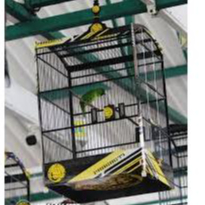 STIKER DECAL SANGKAR KOTAK PRASASTI SANGKAR BURUNG DECAL STIKER DECAL PRASASTI