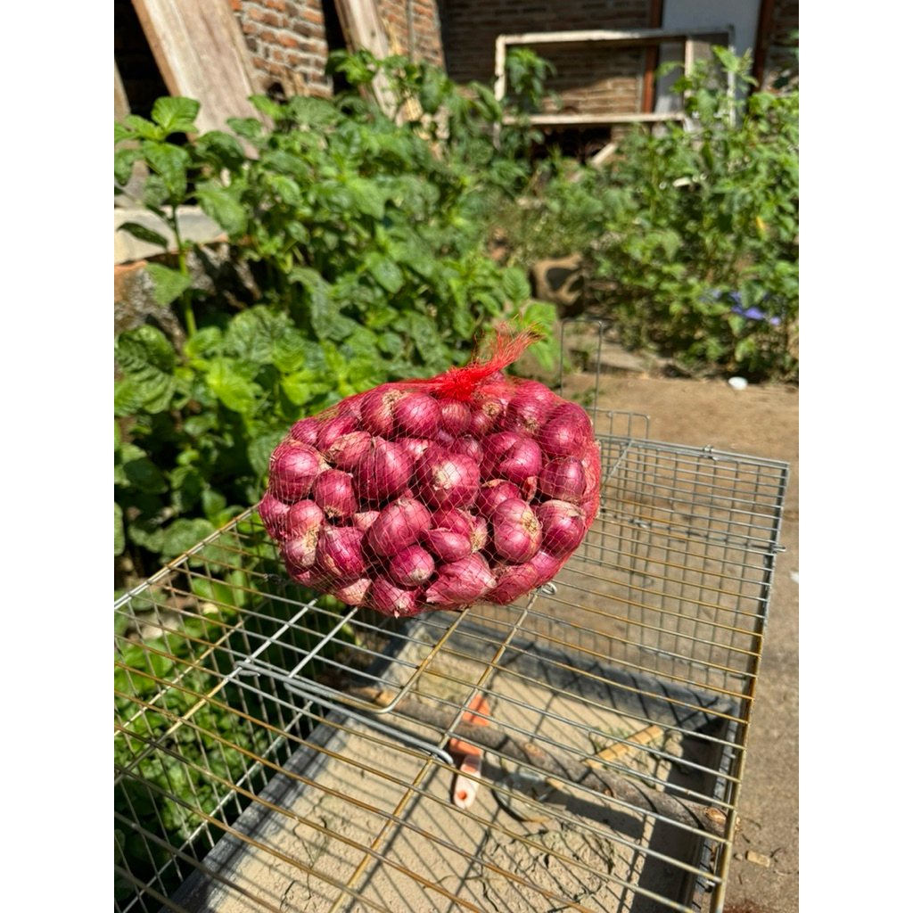 

Bawang Merah m 500g – Segar, Bebas Pestisida, Cocok untuk Dapur Sehat