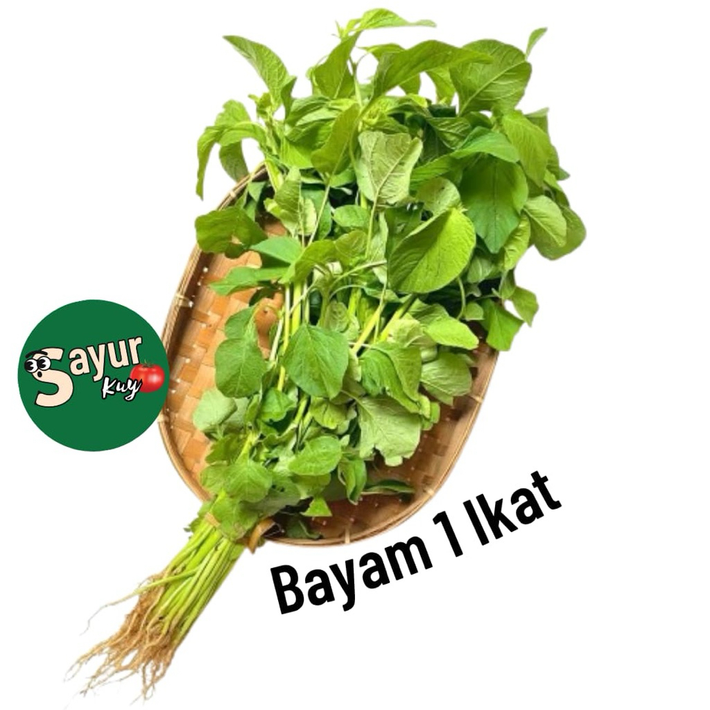 

Sayur Bayam 1 Ikat // Bayam Fresh 1 Ikat