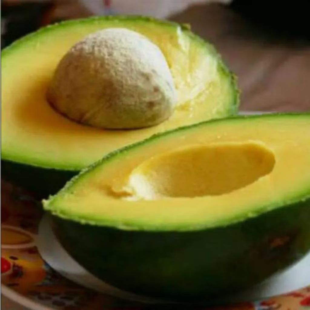 

PROMO alpukat mentega premium isi 5 buah (COD GARANSI)