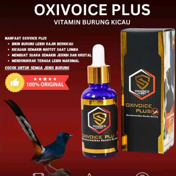 oxivoice plus vitamin burung murai batu harian dan lomba