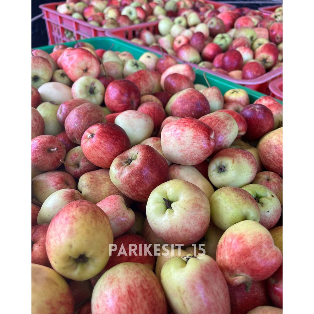 

Apel Ana Mini Cherry Batu Malang 1kg (isi ±20 buah)
