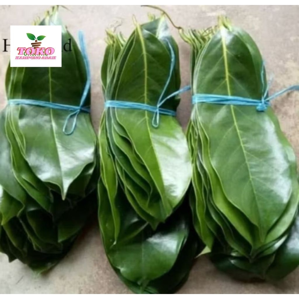 

daun sirsak segar fresh 100grm