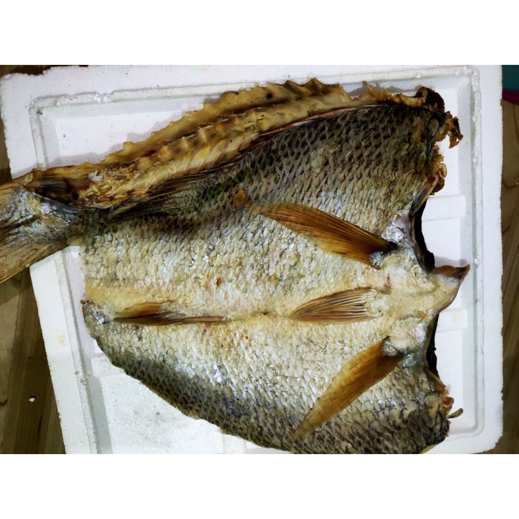 

KAKAP MERAH/Bambangan MURAH 500gr