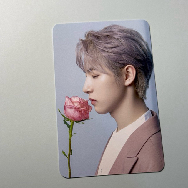 RENJUN OYF md penguin plush side view flower photocard nct dream