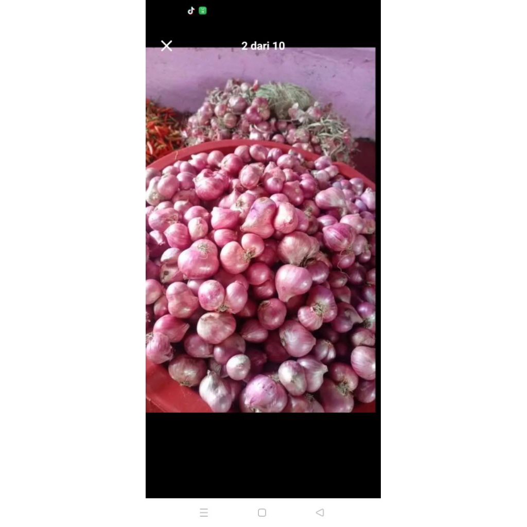 

BAWANG MERAH FRESS 500g