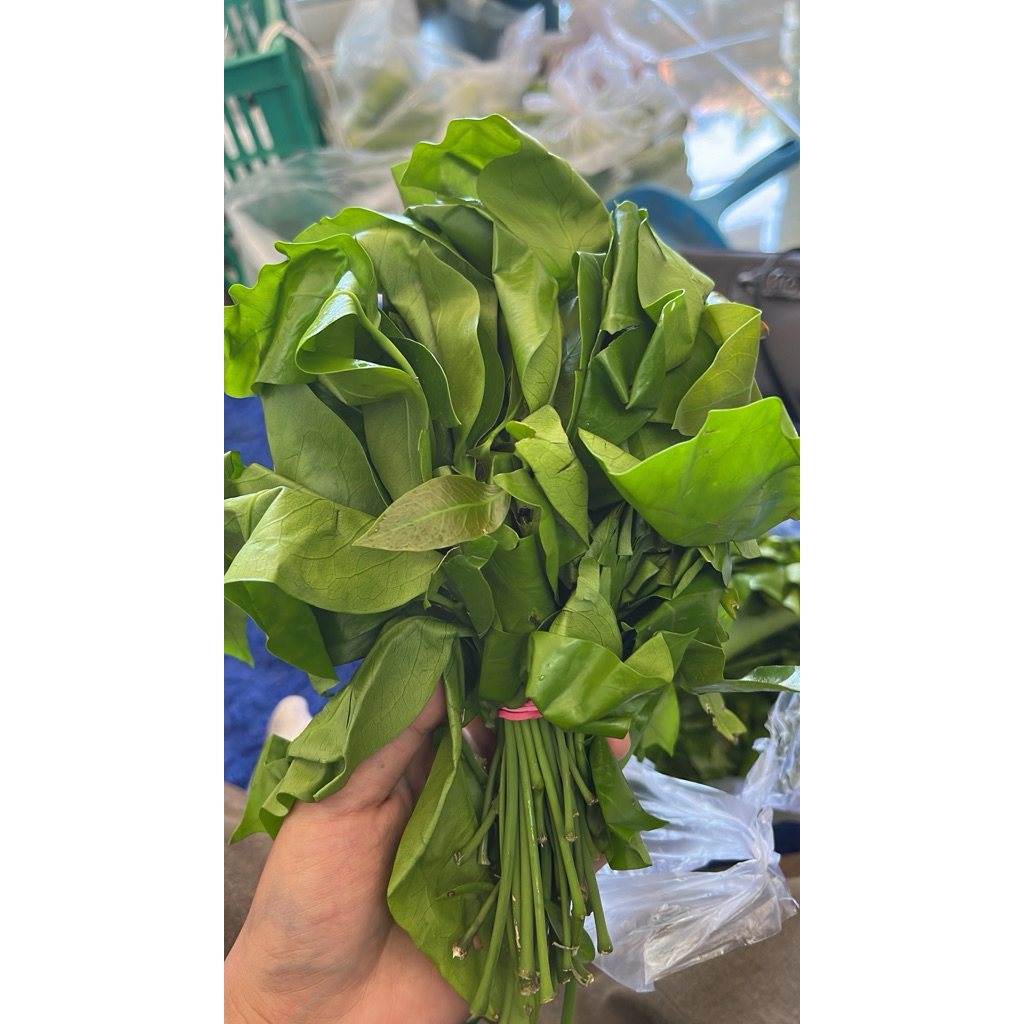 

Daun so / daun melinjo