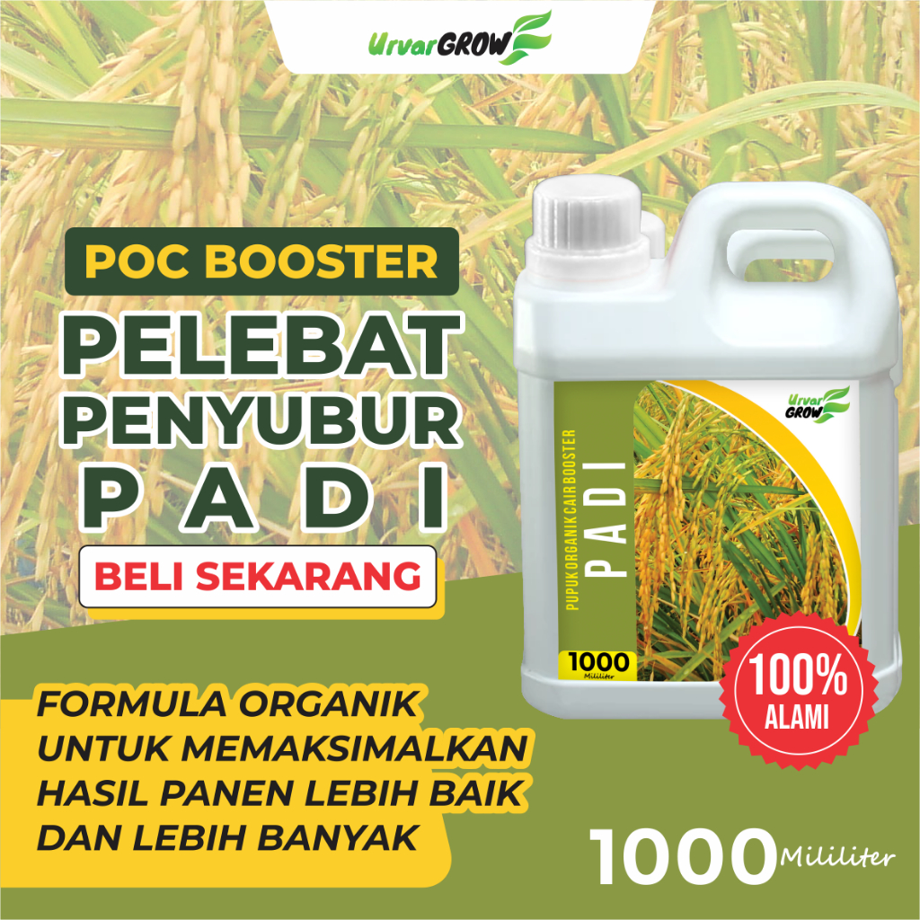 Pupuk Organik Cair Khusus Tanaman Padi 1Liter - Booster Panen Lebat | 100% Organik