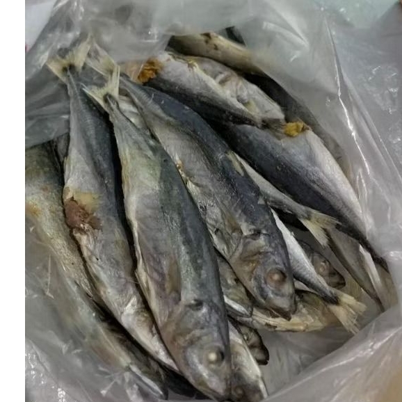 

Cahayadstore Ikan Asin Pindang Gurih / Ikan Asin Klotok K2 / Ikan Asin Layang Best Seller