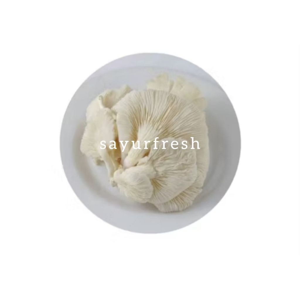 

JAMUR TIRAM FRESH