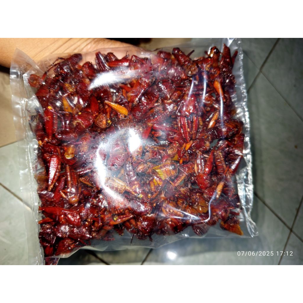 

belalang goreng kayu walang goreng besar walang goreng kayu