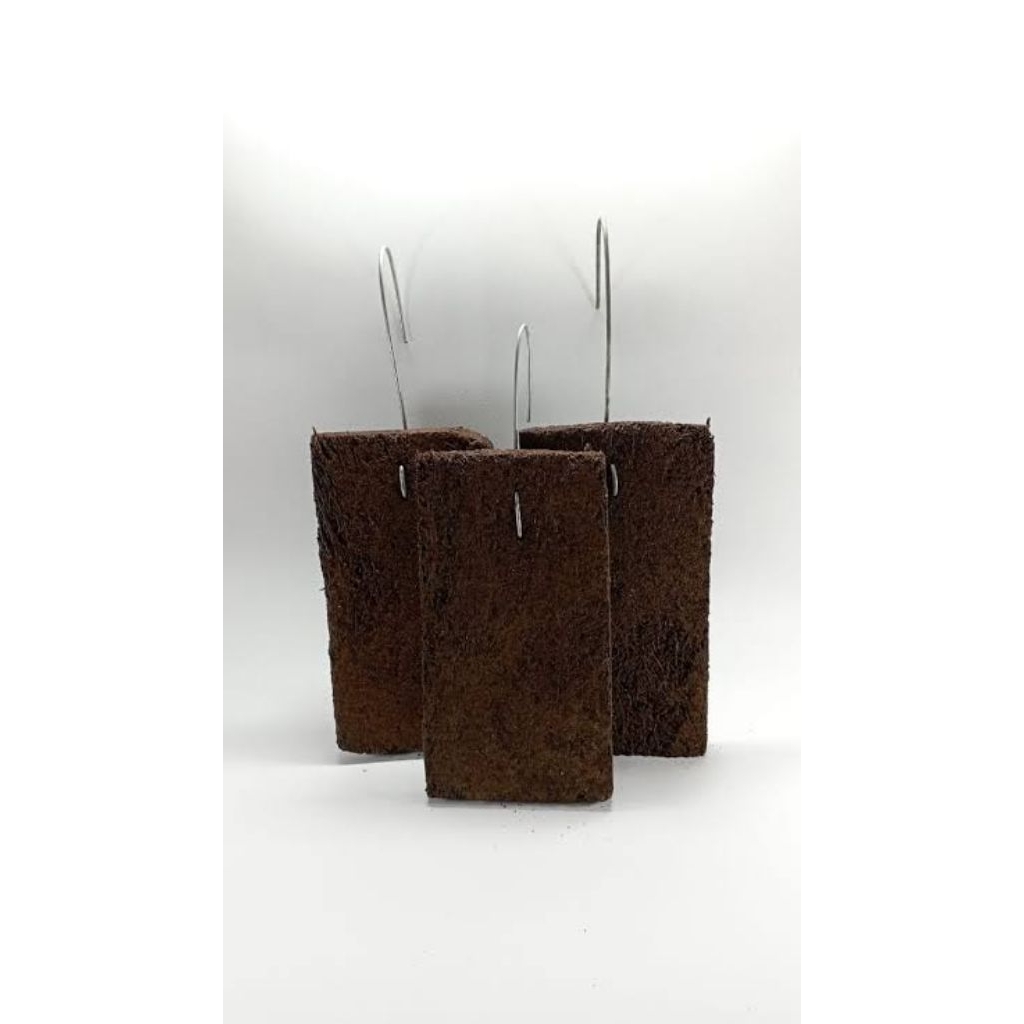 3 pcs Papan Pakis Lempeng/Akar Pakis Media Anggrek