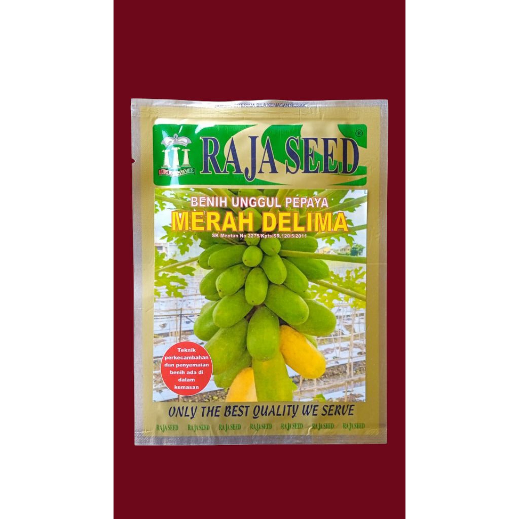 pepaya Merah Delima