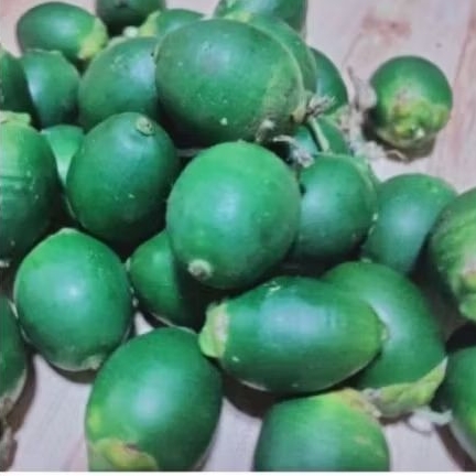 

Redy . buah pinang muda. jambe - pinang muda fres 500 gram