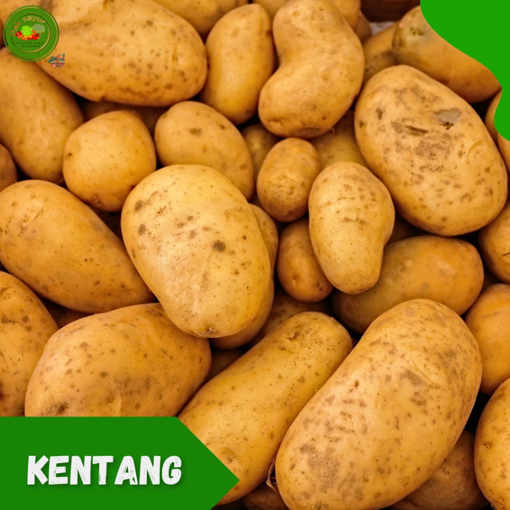 

Kentang Fresh -1 kg , Kentang / Potato , Kentang Murah Meriah
