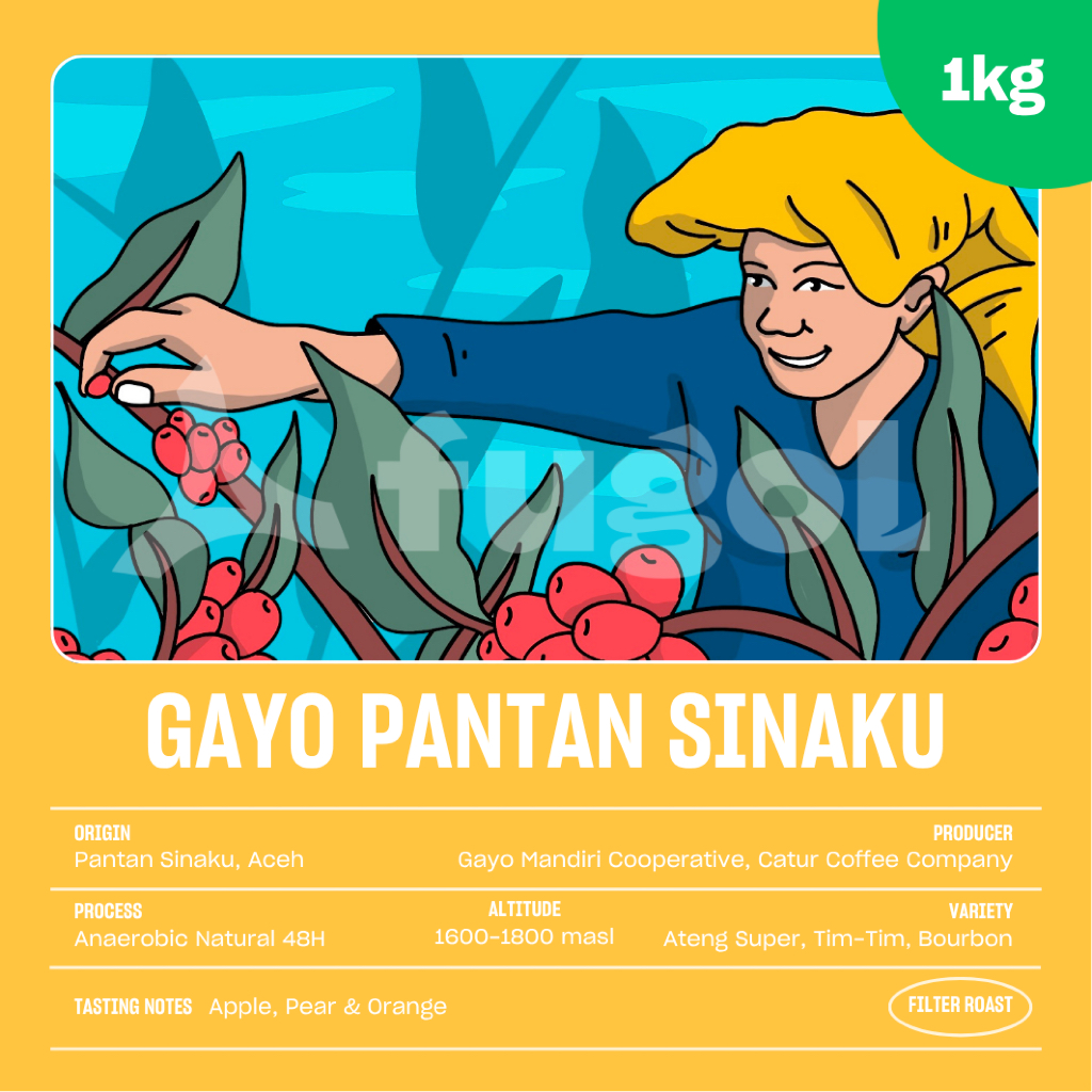 

Kopi Arabika Gayo Pantan Sinaku (1KG) Single Origin Specialty Coffee Beans