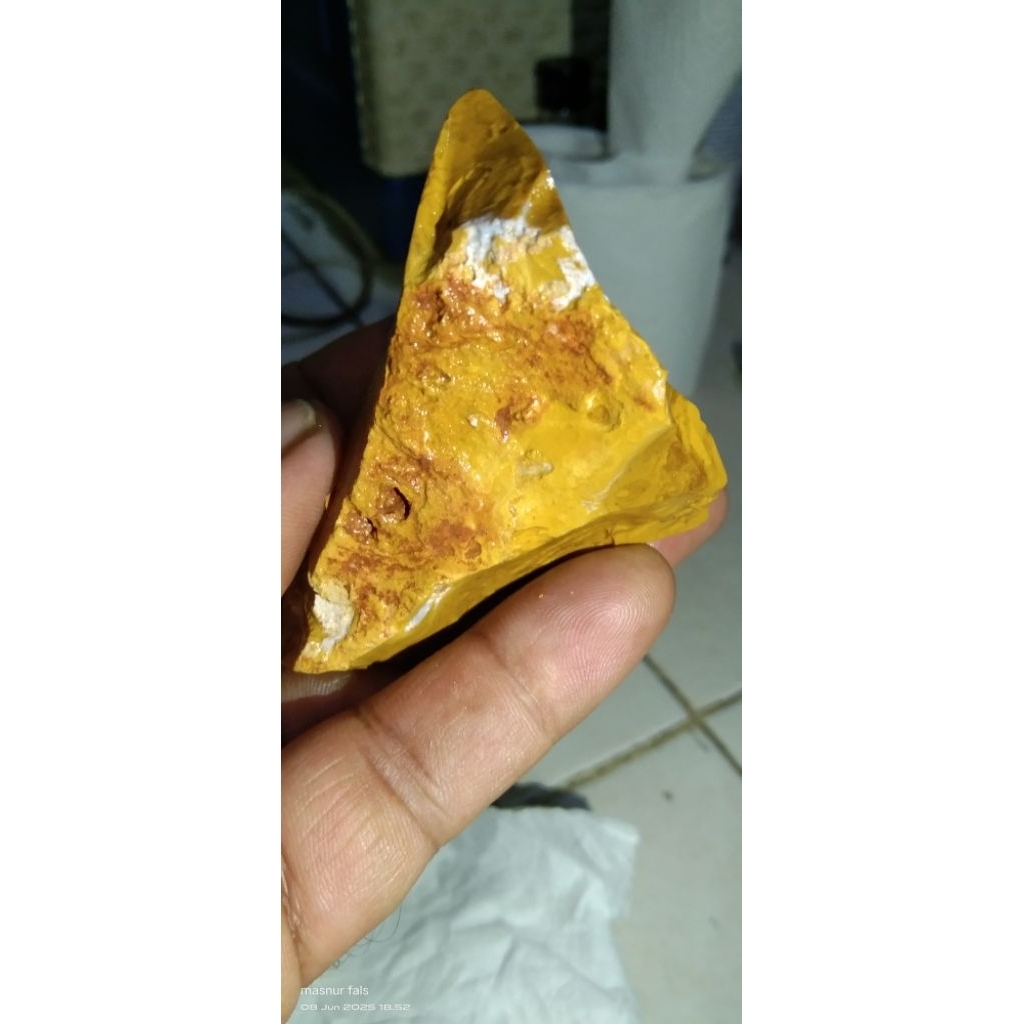 Batu fosil kayu jati super unik dan langka