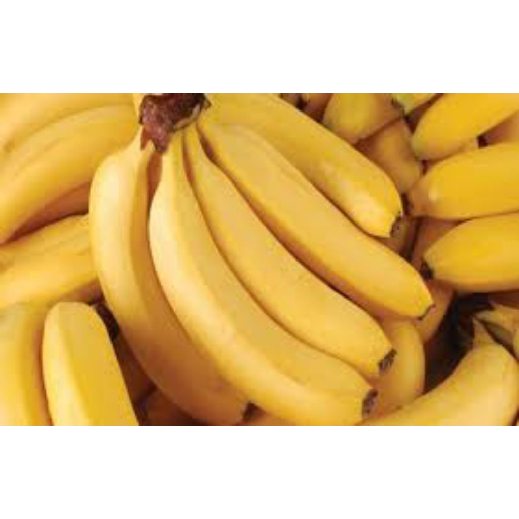 

pisang cavendish segar dan berkualitas