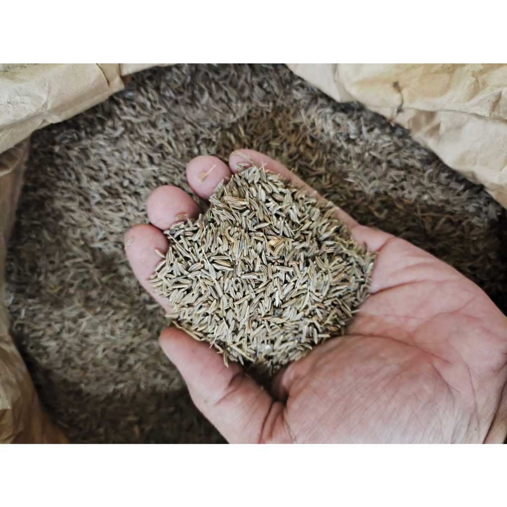 

Jintan Putih Jintan Masak Kemasan 100gr 1ons