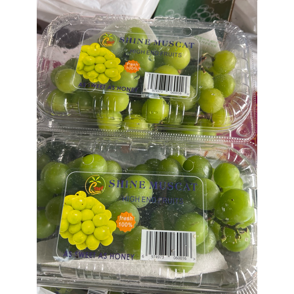 

ANGGUR HIJAU Shine Muscatt 1 pack