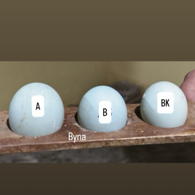 

TELUR BEBEK MENTAH SANGAT FRESH