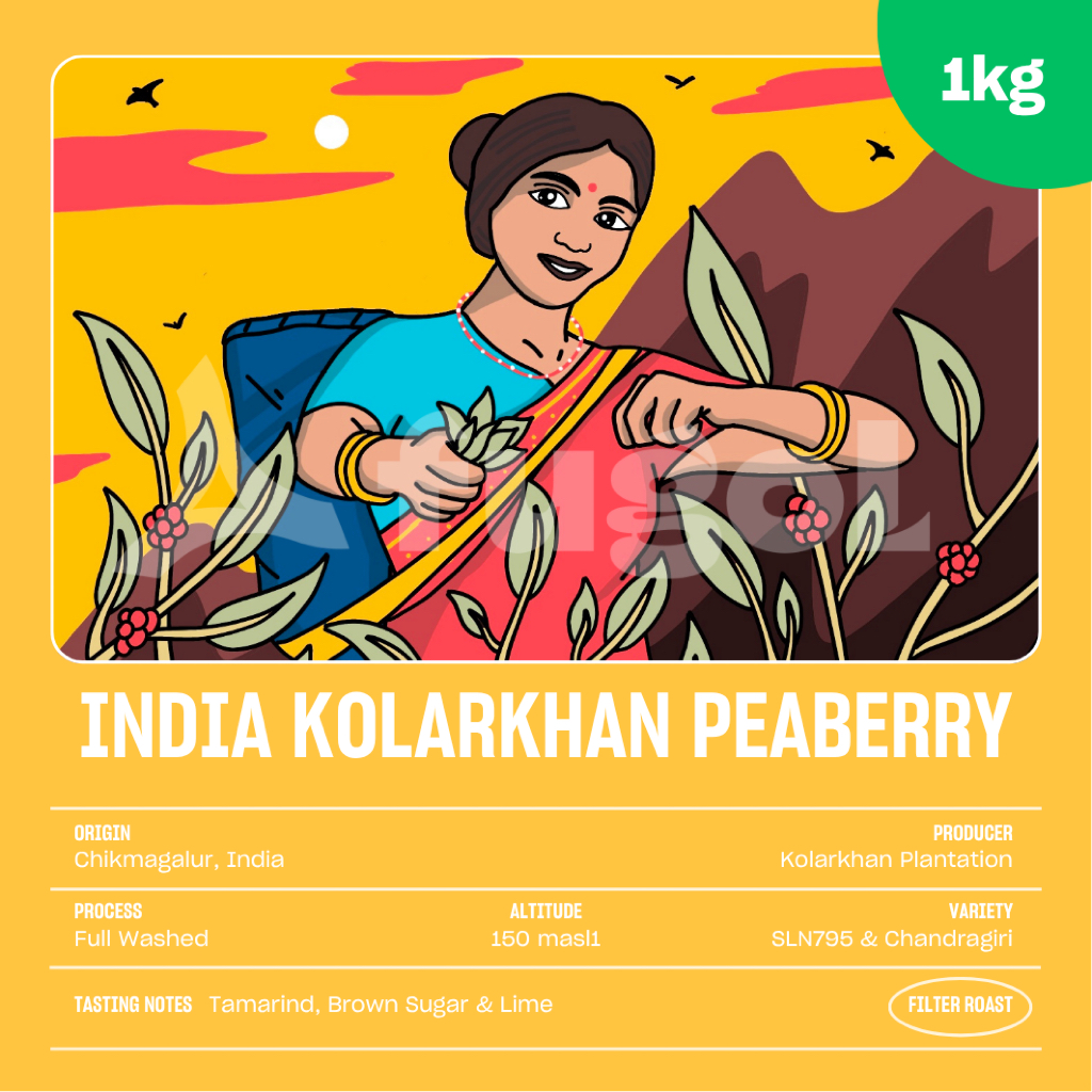 

Kopi Arabika India Kolarkhan Peaberry Washed (1KG) Single Origin Specialty Coffee