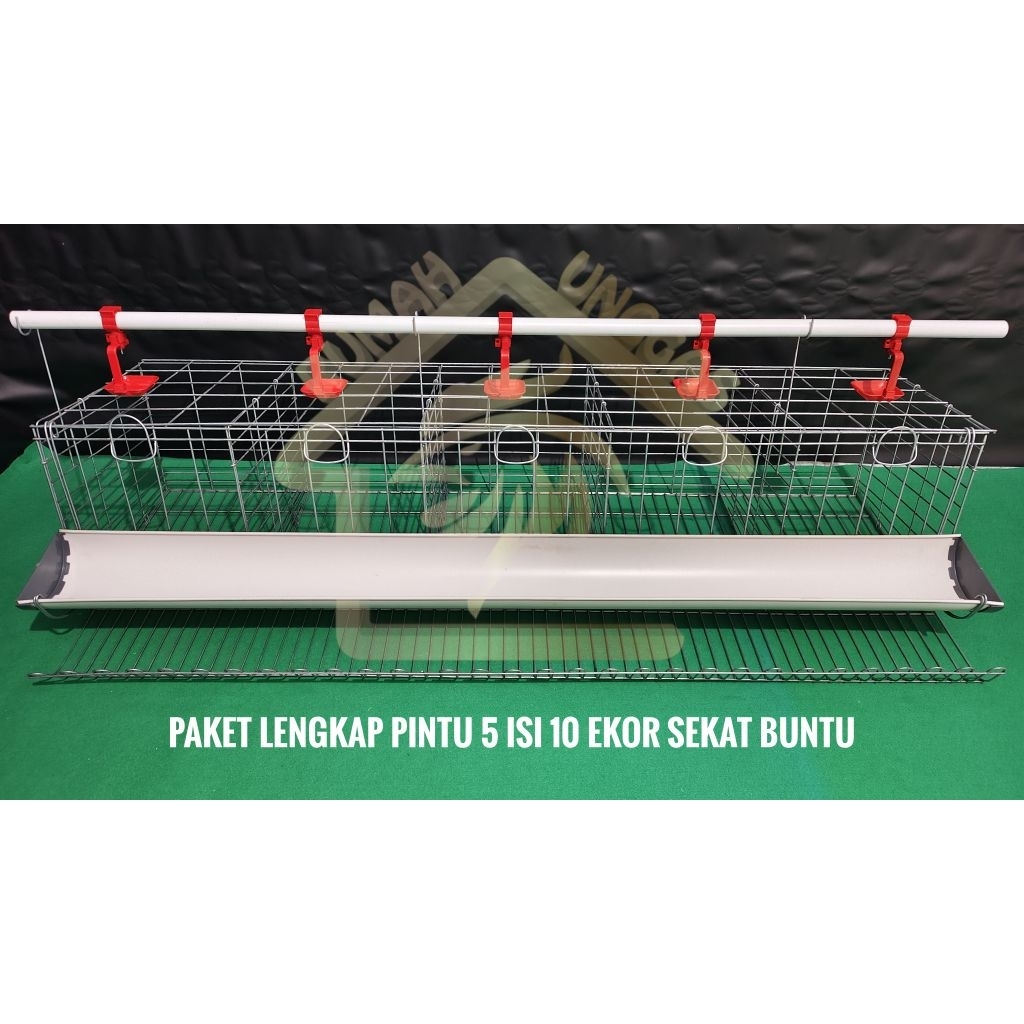GALVANIS PAKET LENGKAP FULL SET KANDANG LAYER AYAM PETELUR PINTU 5 ISI 10 EKOR TINGGAL ISI AYAM