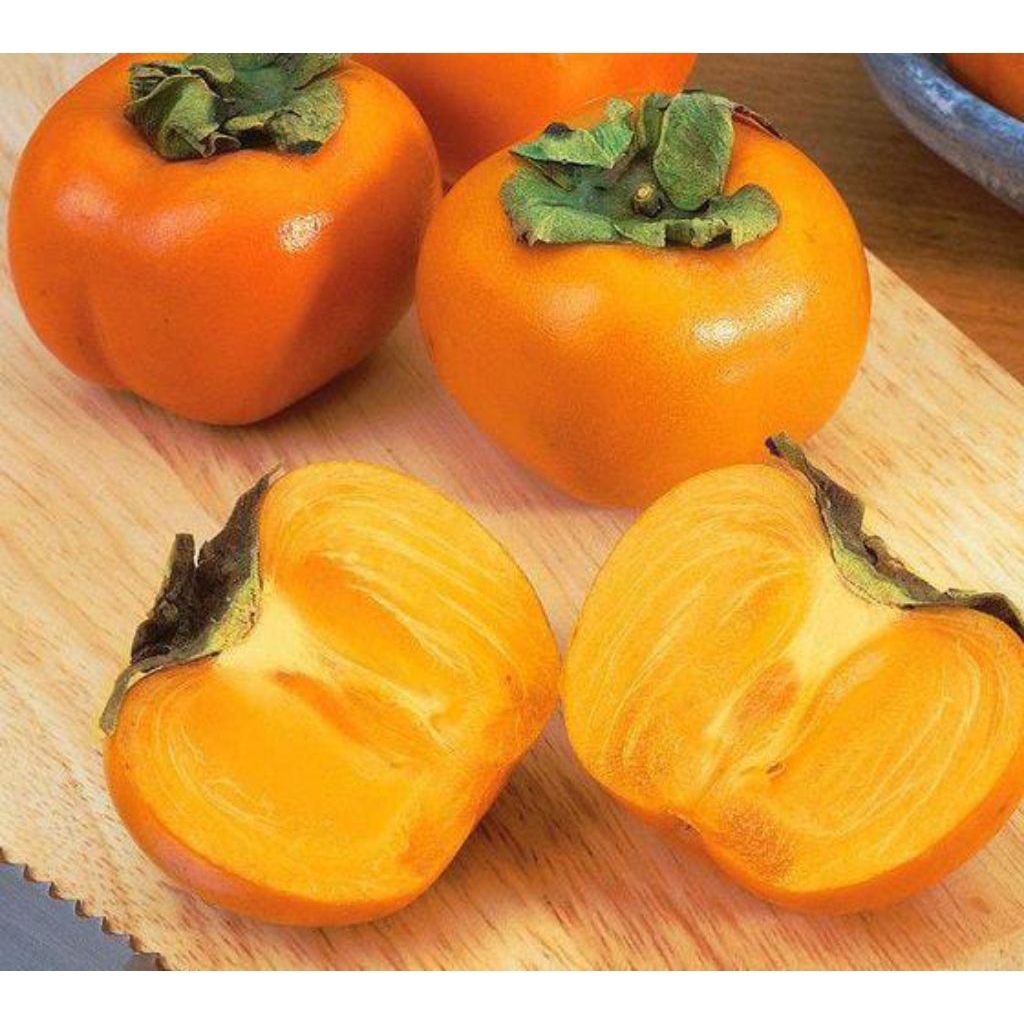 QUEEN BUAH - Kesemek Import Korea Persimmon Segar 1Kg