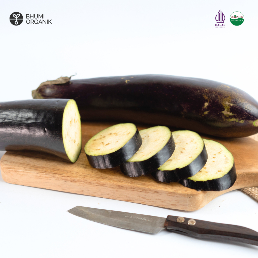 

Terong Ungu Organik 500 gram - Ceritanik / Bhumi Organik - Eggplant Organic - Sayur Organik Murah - Sayur Organik Sehat - Sayur Organik Premium