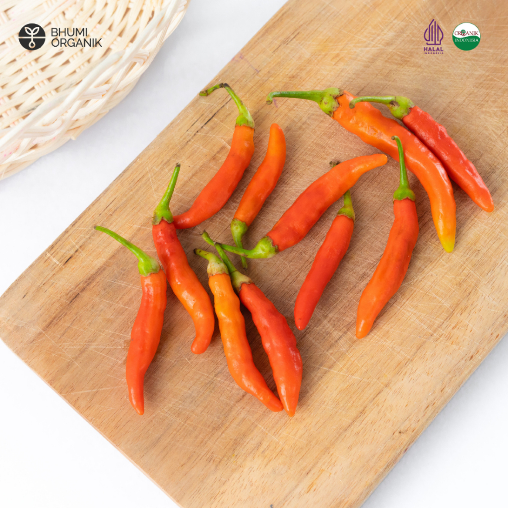 

Cabai Rawit Organik 150 gram - Ceritanik / Bhumi Organik - Cabe Rawit Organik - Sayur Organik Murah - Sayur Organik Sehat - Sayur Organik Premium