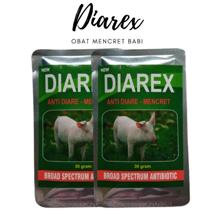 OBAT MENCRET BABI ANTIBIOTIK ANAK BABI SAKIT DIARE