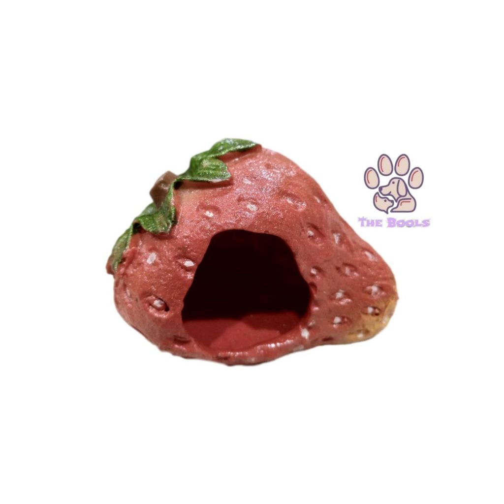 (The Bool's) strawberry / hiasan fiber strawberry / rumah hamster / hideout hamster / kandang hamste