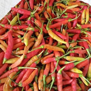 

Cabe Rawit Cabai Merah Segar Lombok Fresh Kiloan 100gr - Aneka Bumbu Dapur