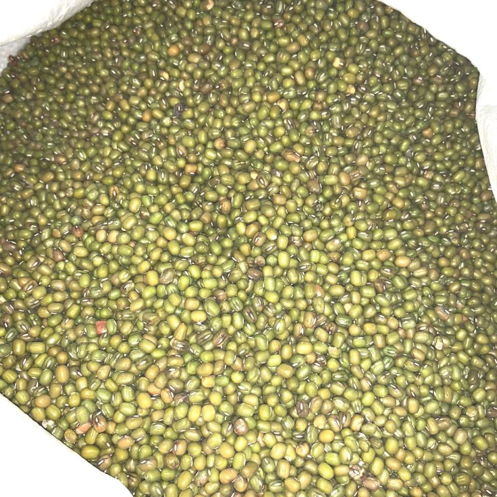 

Kacang Ijo / Kacang Hijau Australia 5 kg