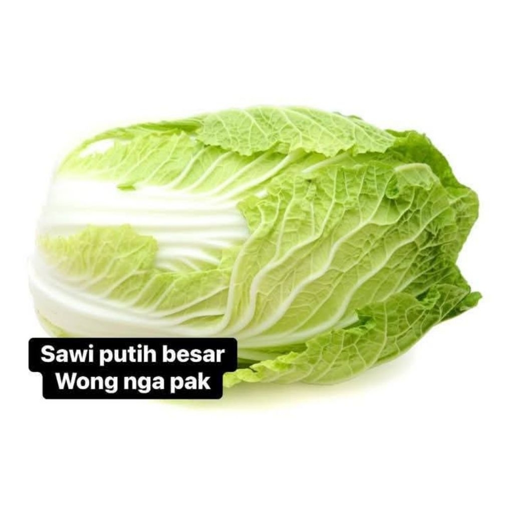 

sayur kol