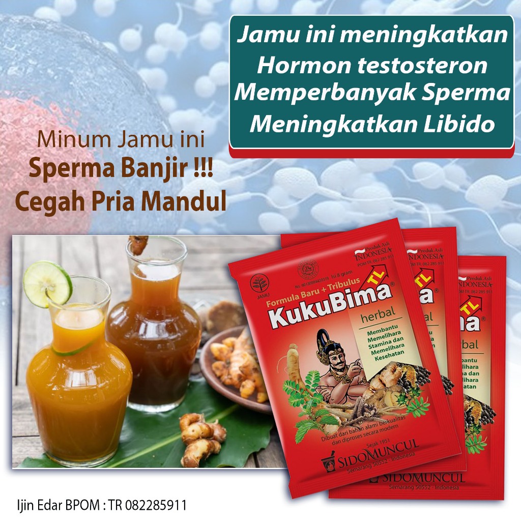 

Jamu kuat Pria TERLARIS perbanyak sperma air mani penambah gairah libido cegah pria Mandul menghilangkan badan loyo lemas lelah Menjadikan lebih garang di ranjang ~ jamu kuku bima tribulus jaminan produk ORIGINAL 100%