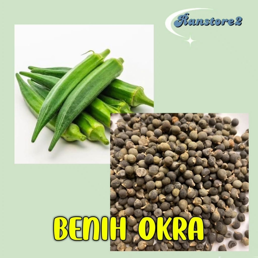 

(100) BENIH BIJI OKRA
