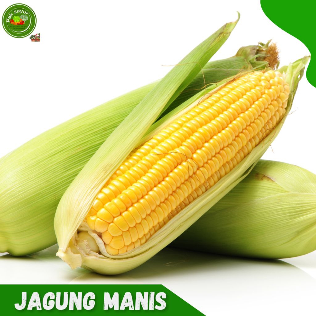 

Jangung Manis , Jangung Manis Segar Murah, Jangung Isi 3 pcs , Super, sweet corn