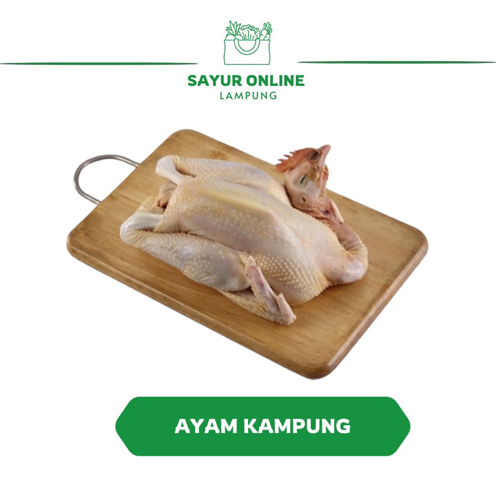 

Ayam kampung 1 Ekor - Fres - Sayur Online Lampung