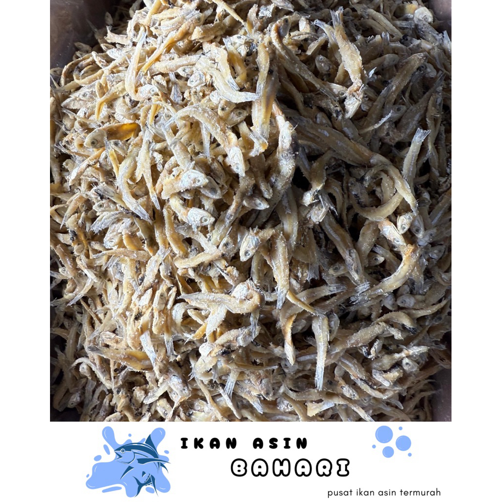 

1KG TERI JENGKI ASIN KECIL KUALITAS PREMIUM DI JAMIN PALING MURAH - STOCK BARU-KIRIM SETENGAH KERING