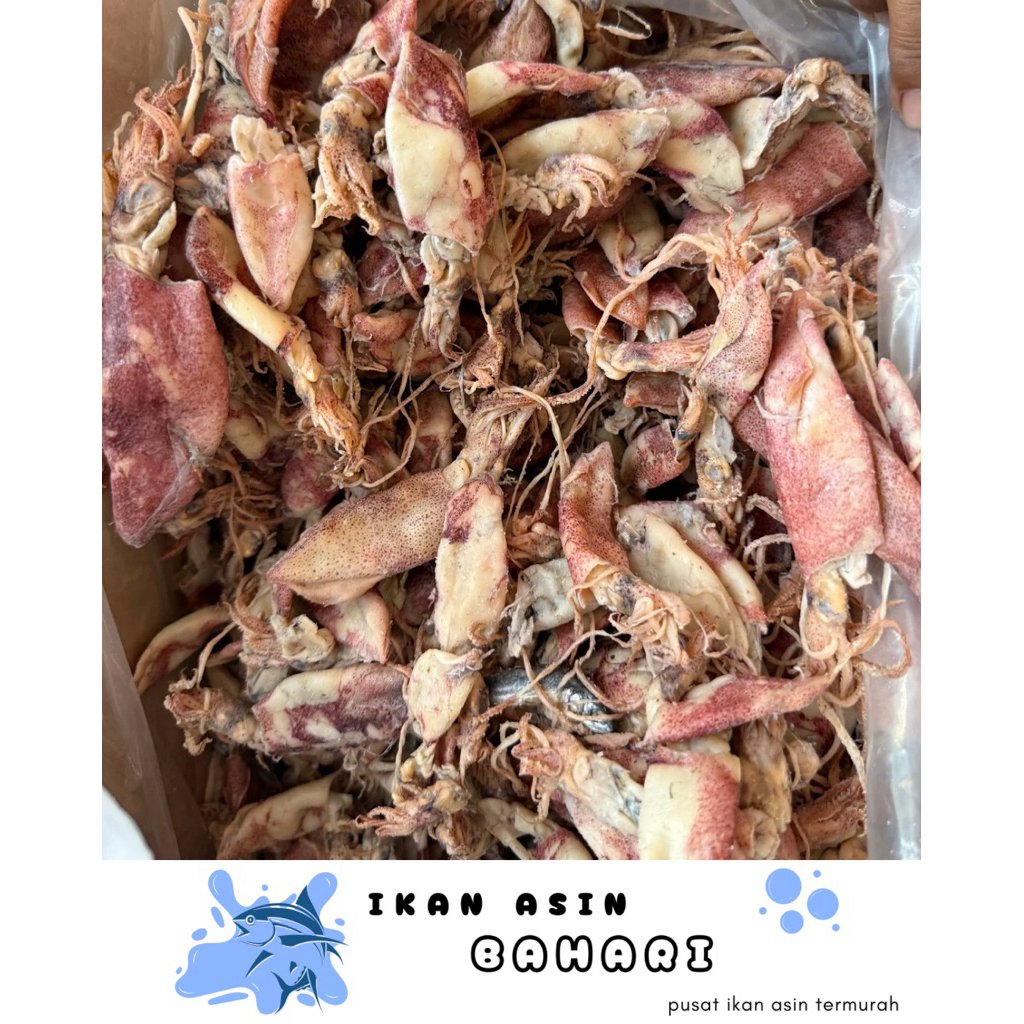 

500GRAM CUMI ASIN SUPER JUMBO KUALITAS PREMIUM DIJAMIN PALING MURAH