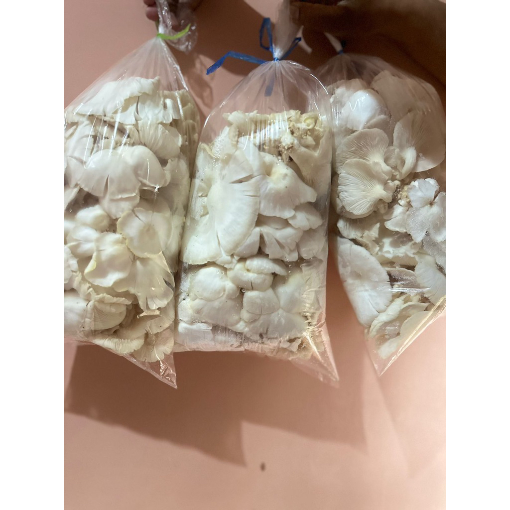 

Jamur Tiram Segar 3 Kg