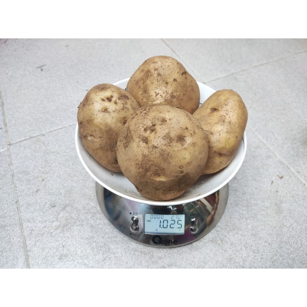 

Kentang Granola Super Segar 1Kg size XL (3-5 pcs per Kg)