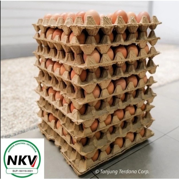 

Fresh Eggs 15Kg - Telur Ayam Grade AA from Own Farm