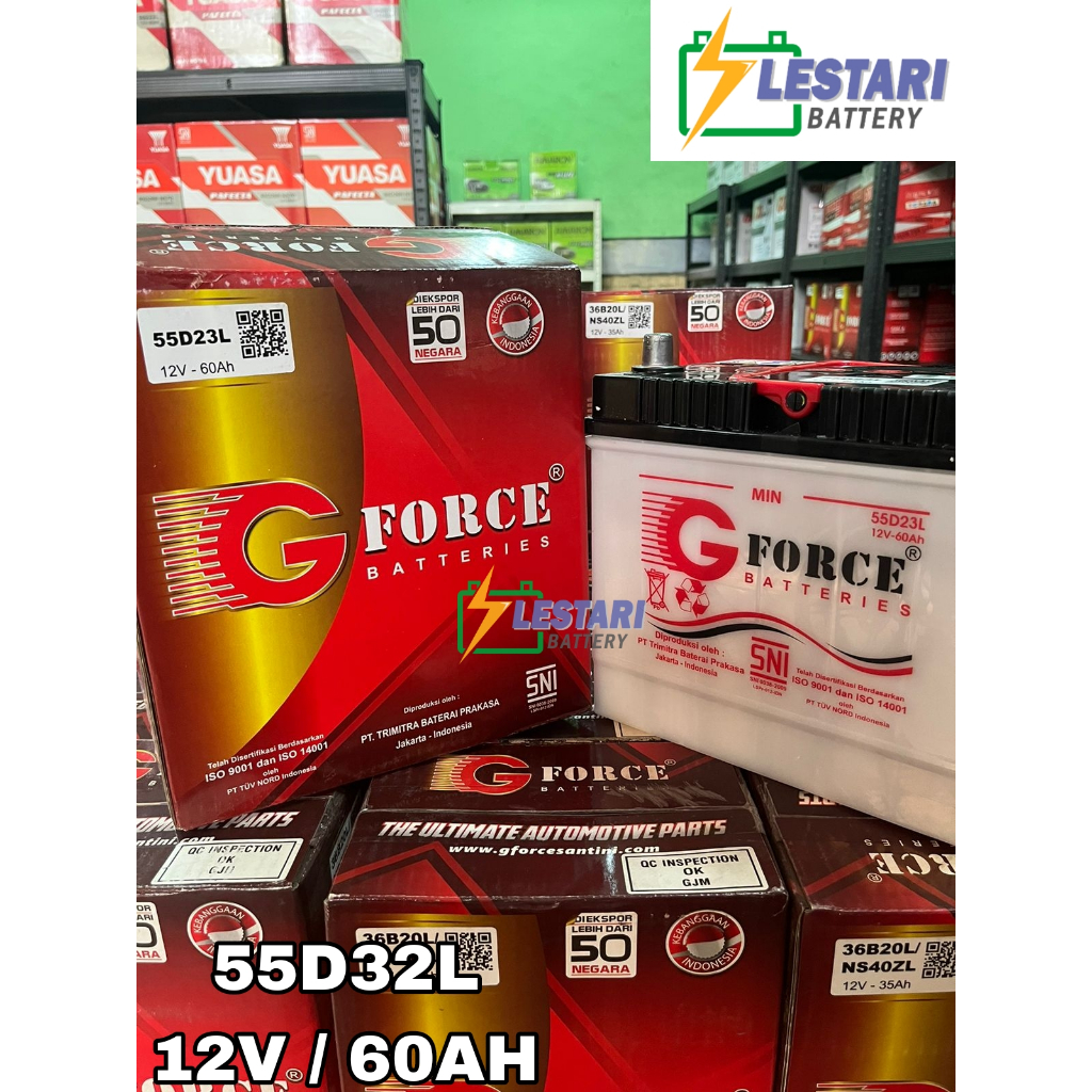 Aki Basah Conventional GFORCE 55D23L